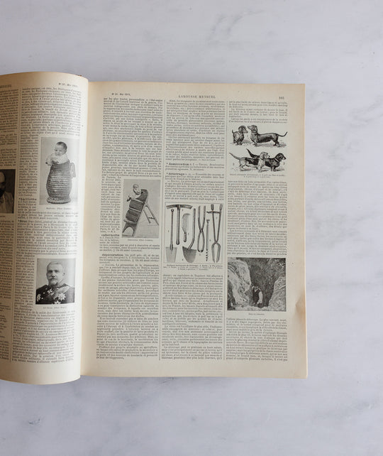 Turn of the century french “larousse Paris” encyclopedia