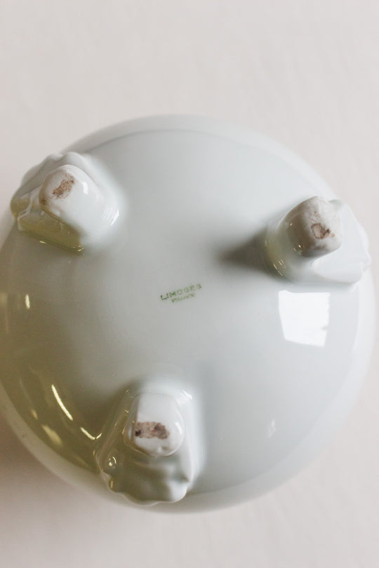 vintage french limoges "hatched egg" vase