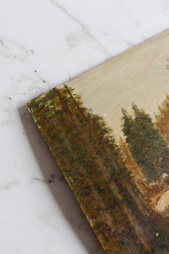 dans la forêt