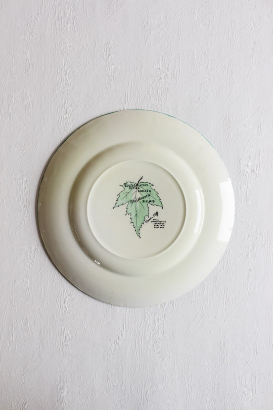 vintage royal staffordshire plate "the mountie"