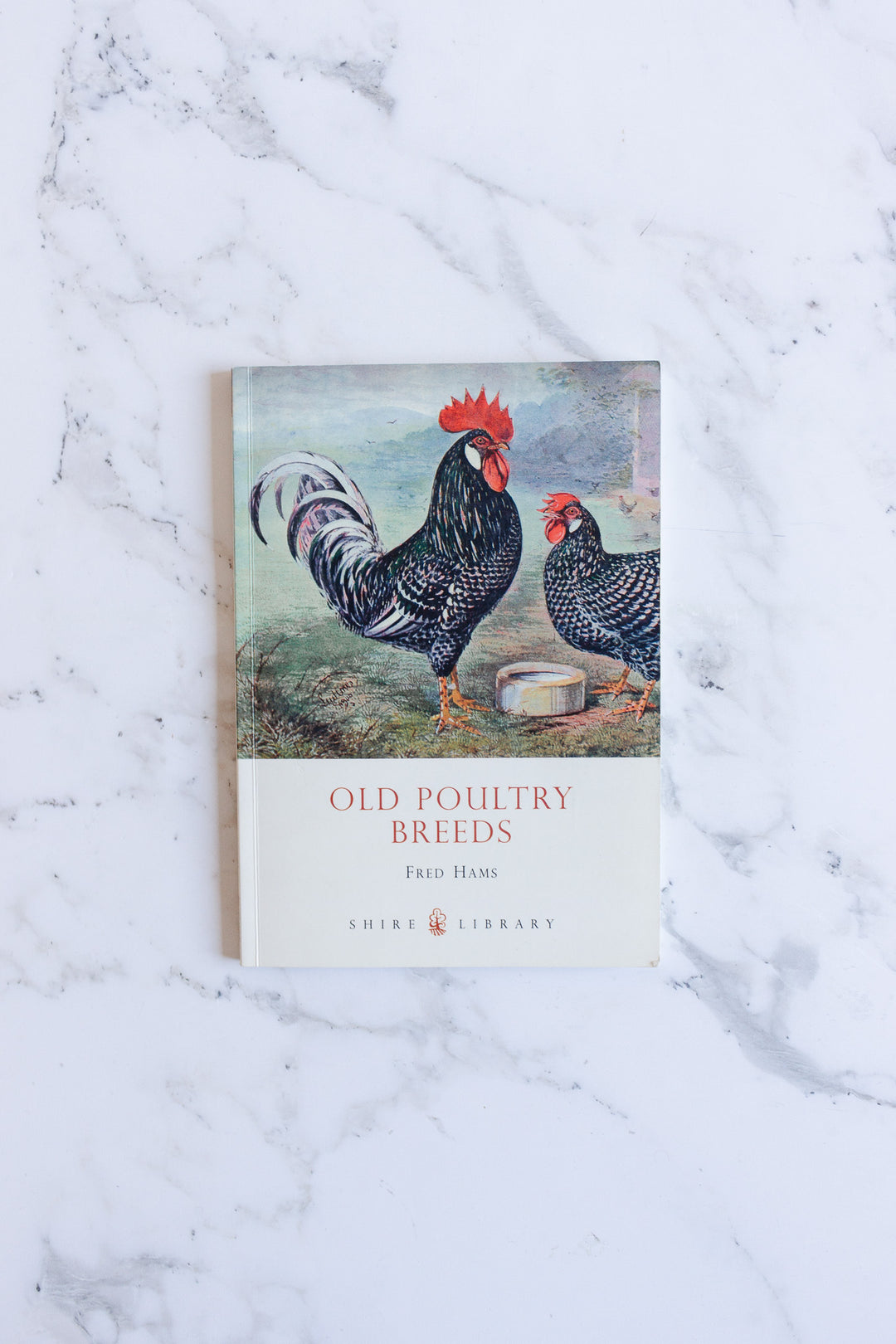 old poultry breeds