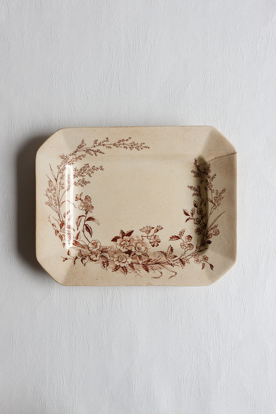 rare late 1800s cliff "montreal" transferware platter