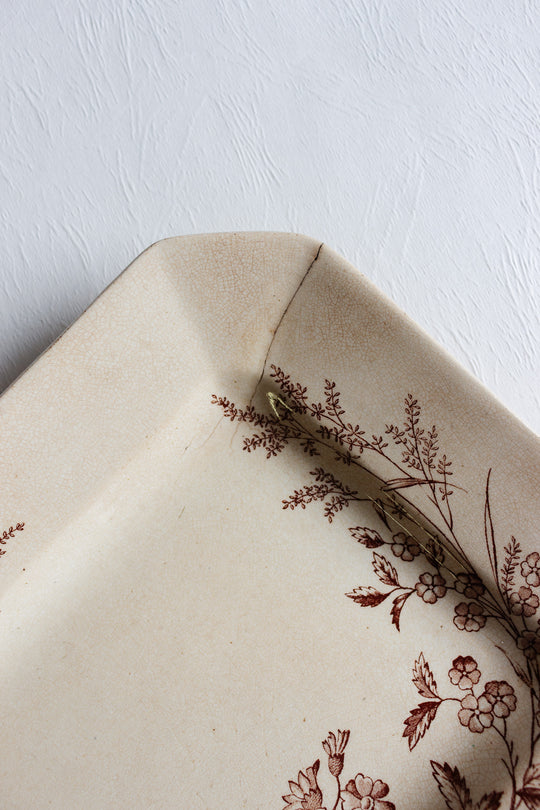 rare late 1800s cliff "montreal" transferware platter