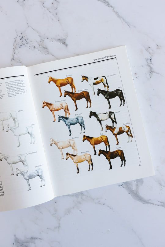 horse identifier, a pictoral guide to horses