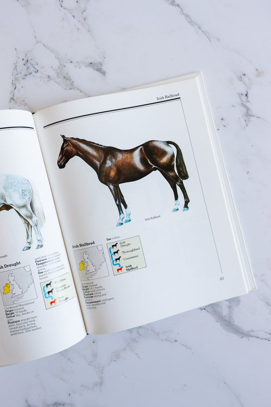 horse identifier, a pictoral guide to horses