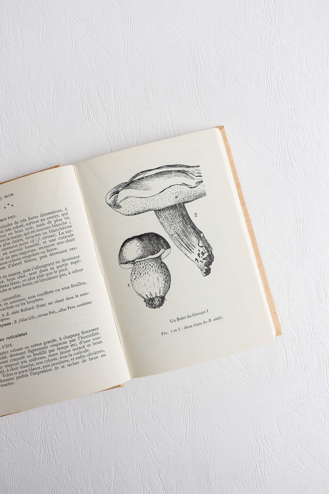 1960s "études mycologiques" series pair of books