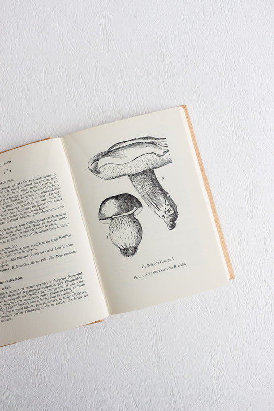 1960s "études mycologiques" series pair of books
