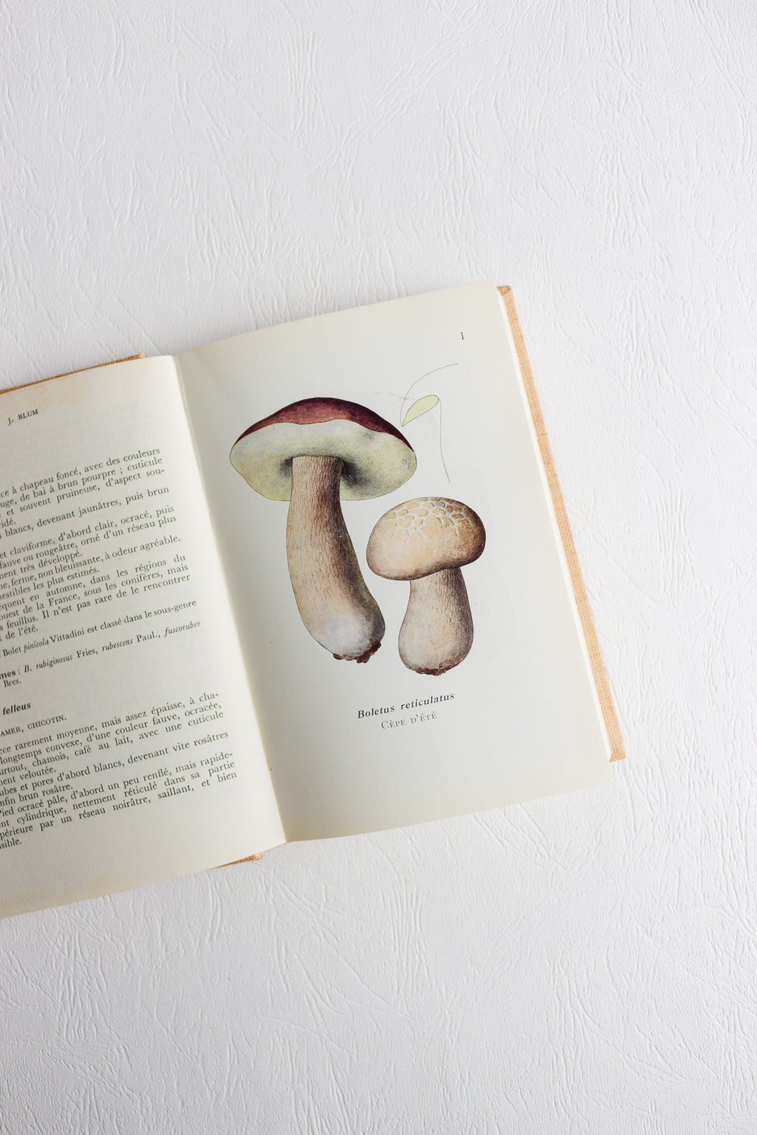 1960s "études mycologiques" series pair of books