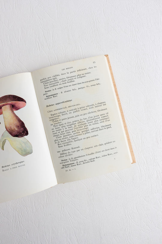 1960s "études mycologiques" series pair of books
