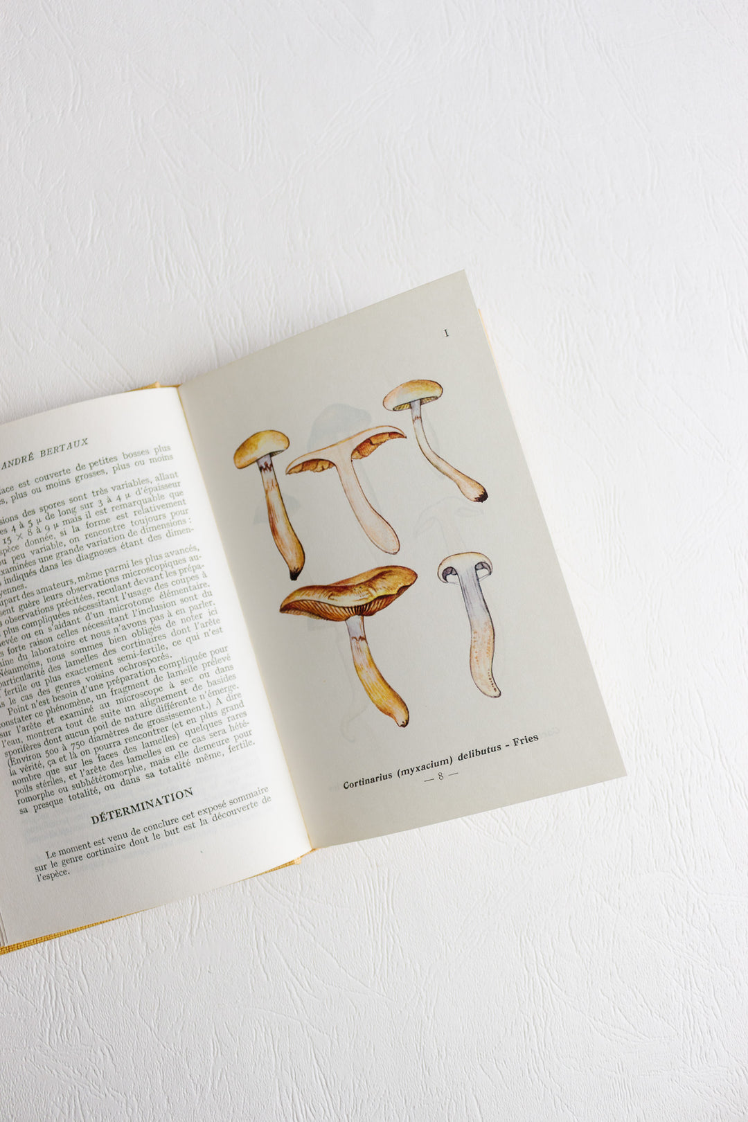 1960s "études mycologiques" series pair of books