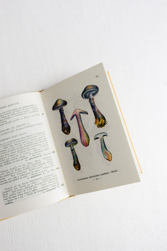 1960s "études mycologiques" series pair of books