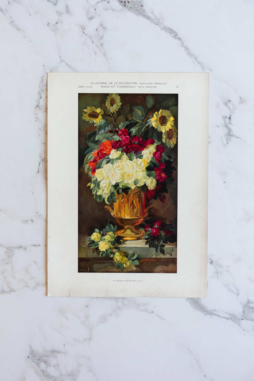 turn of the century French chromolithograph collection, “journal de la décoration”