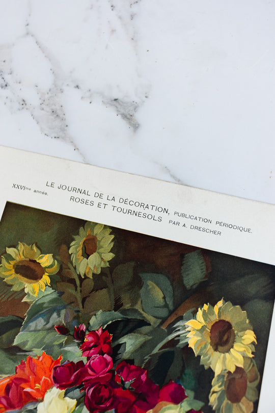 turn of the century French chromolithograph collection, “journal de la décoration”