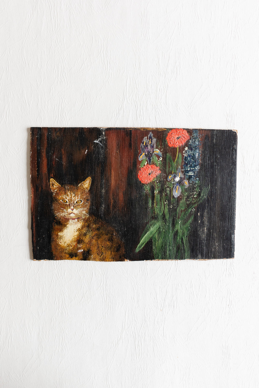 chat et fleurs