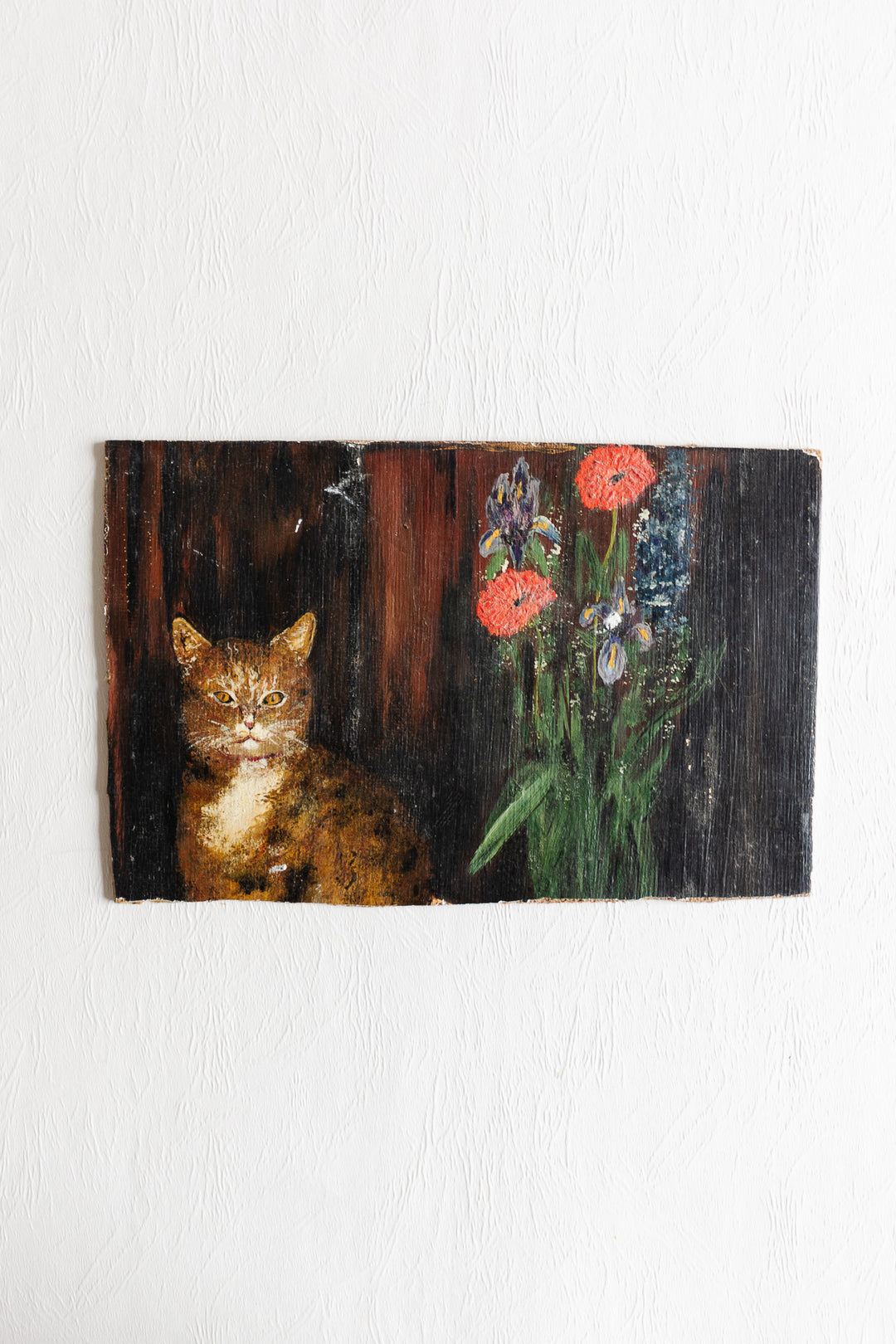chat et fleurs