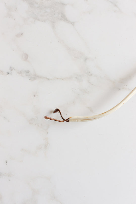 antique italian carved alabaster lamp with empire shade