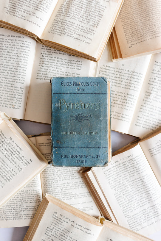 antique french "guide conty" travel book