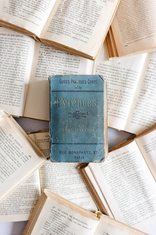 antique french "guide conty" travel book