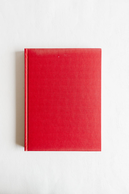 "the moderns: a treasury of painting throughout the world" by gaston diehl