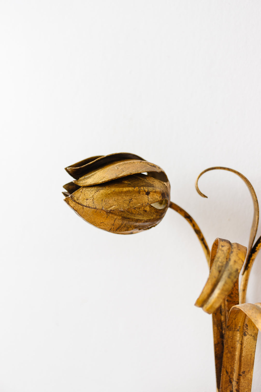 midcentury French gilt foliate wall sconce