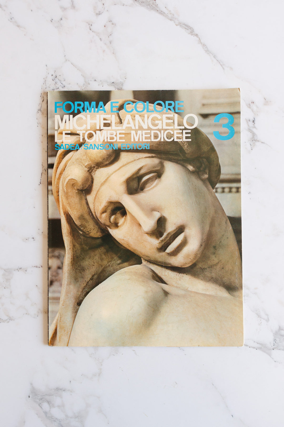michelangelo le tobe medicee