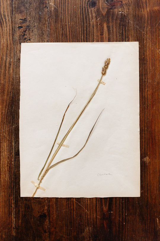 no.26