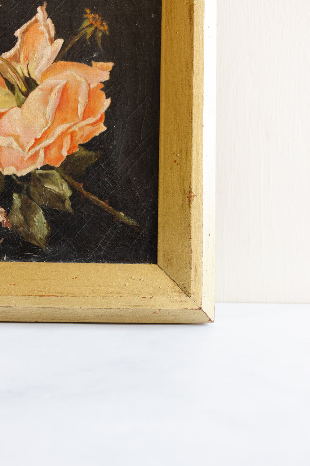 roses éternelles nocturnes