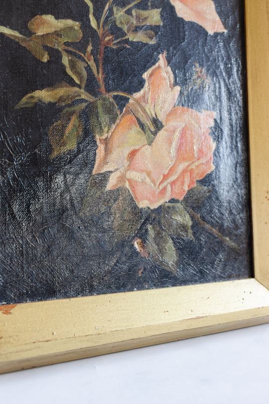 roses éternelles nocturnes