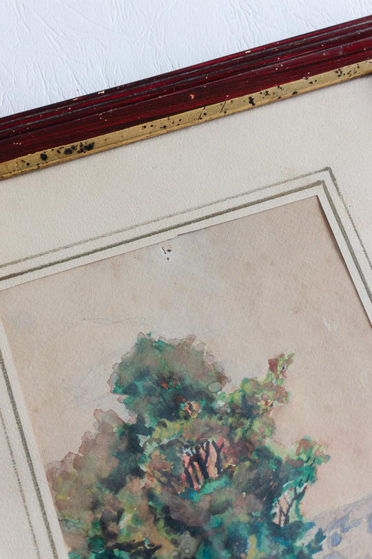 les arbres en aquarelle