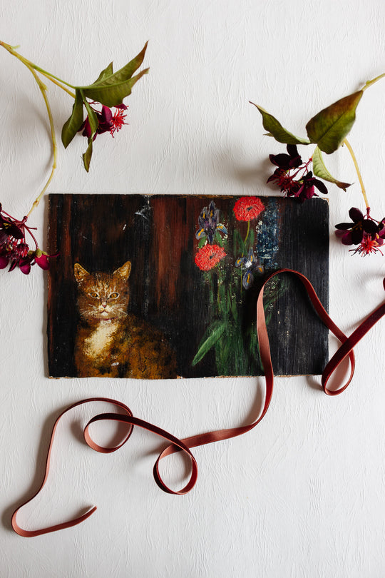 chat et fleurs