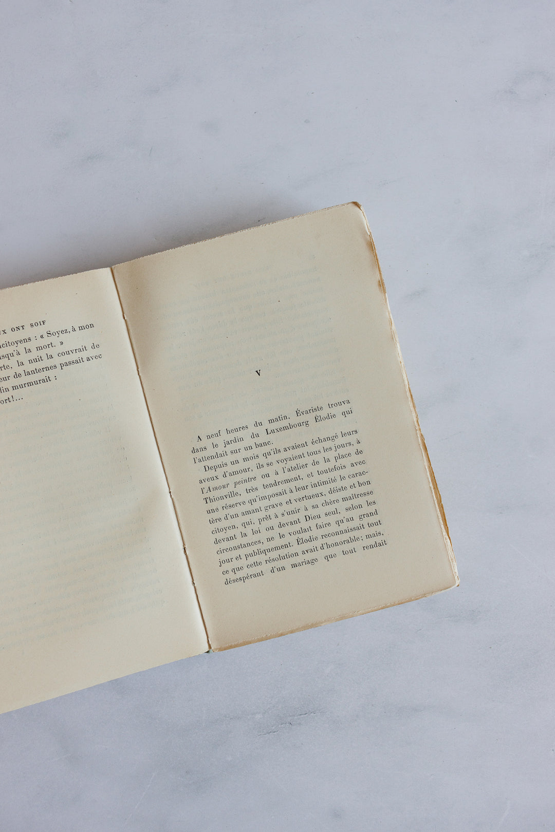 antique french Anatole France "livres bleu"