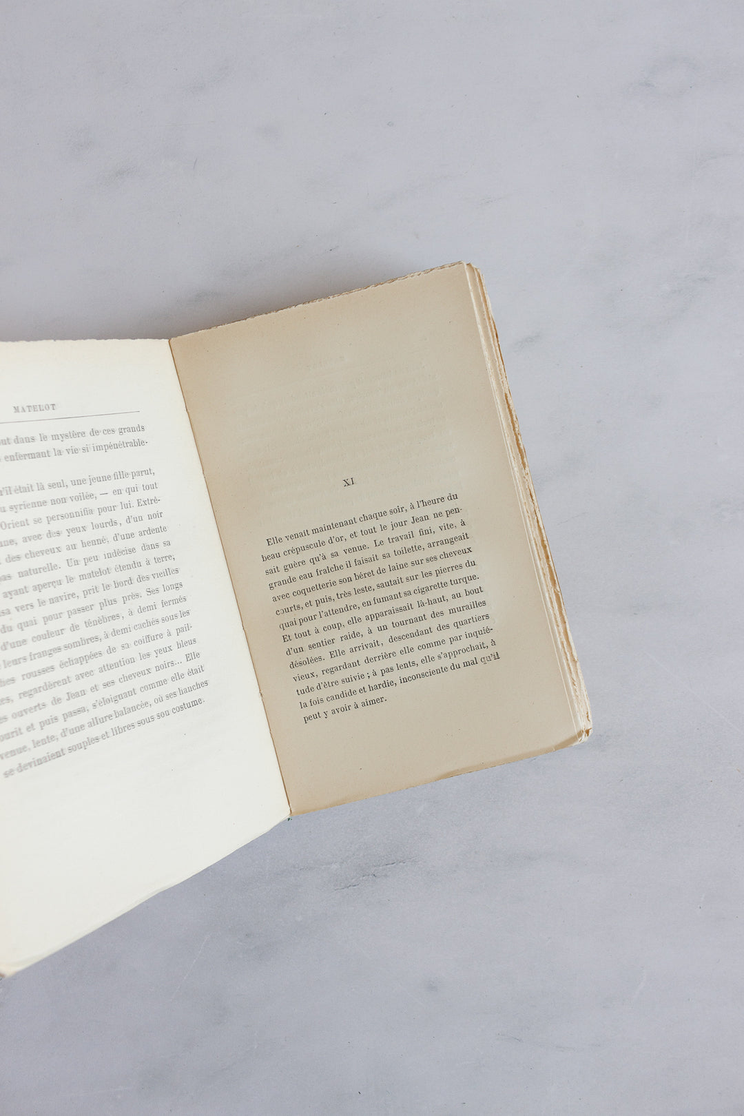 antique french Anatole France "livres bleu"