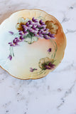turn of the century limoges hand painted plates, set of 6