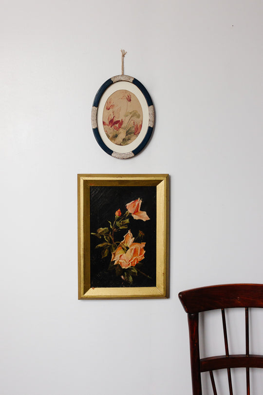 roses éternelles nocturnes