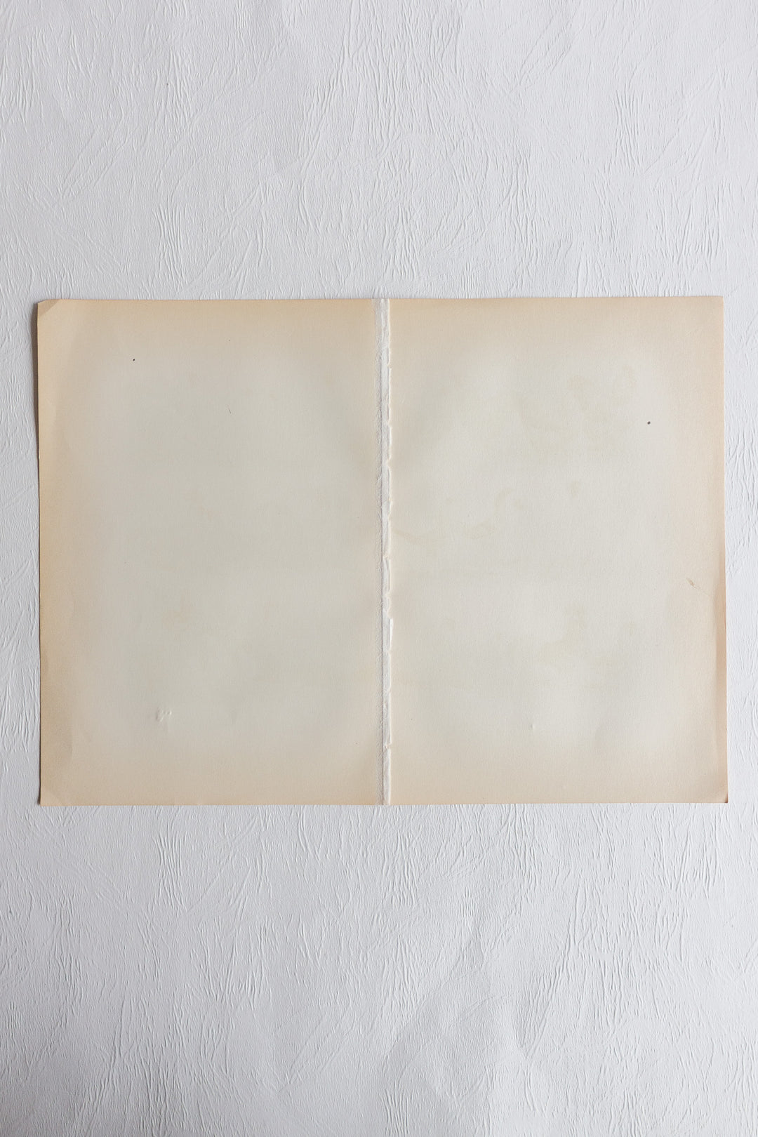 antique german "Hühnerrassen" (chicken  breeds) book plate