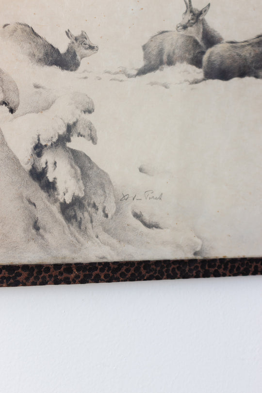 vintage xavier de poret lithograph "chamois au repos dans un paysage de neige"