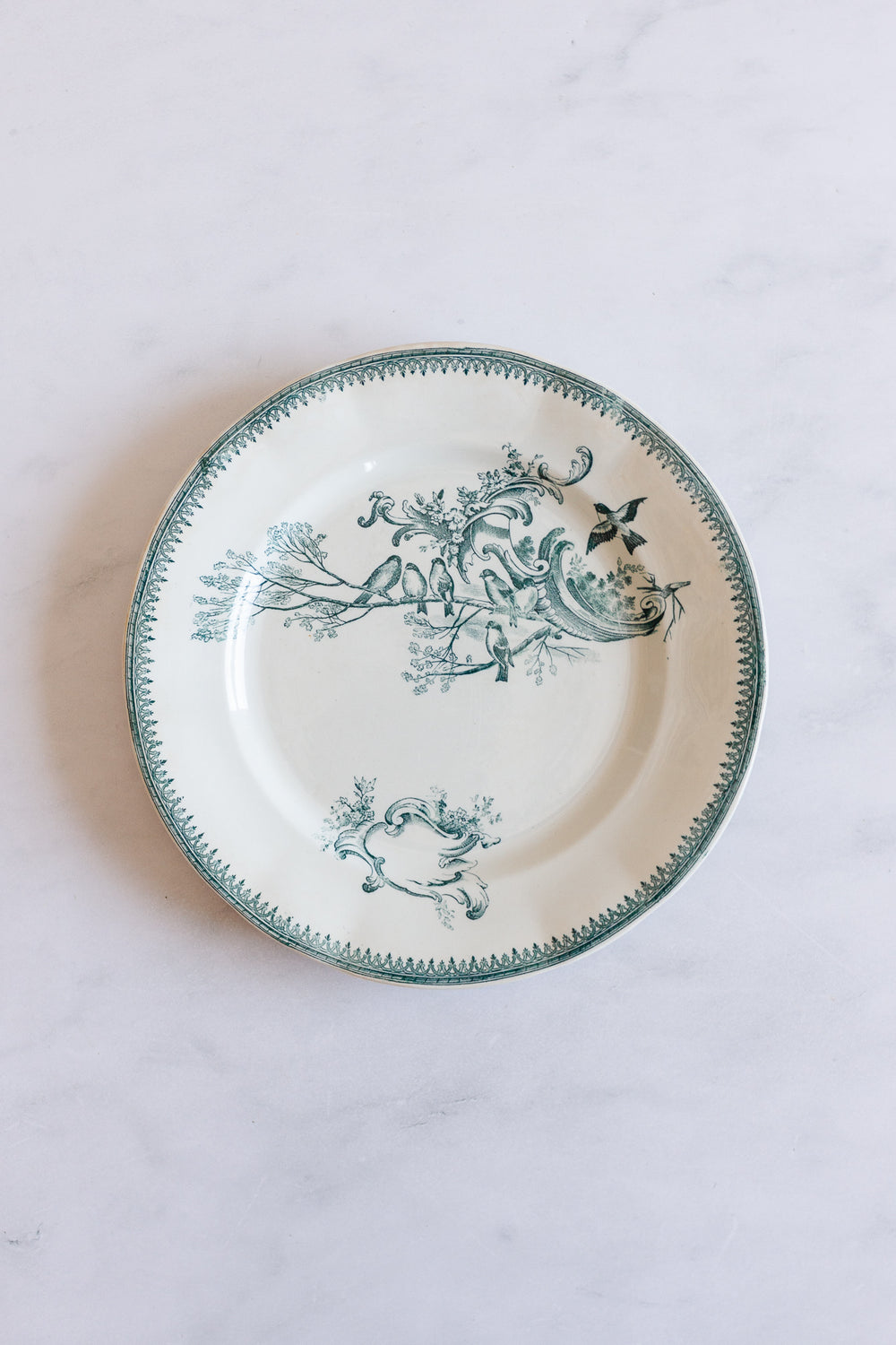 antique French “Rocaille” transferware dinner plates, set of 4