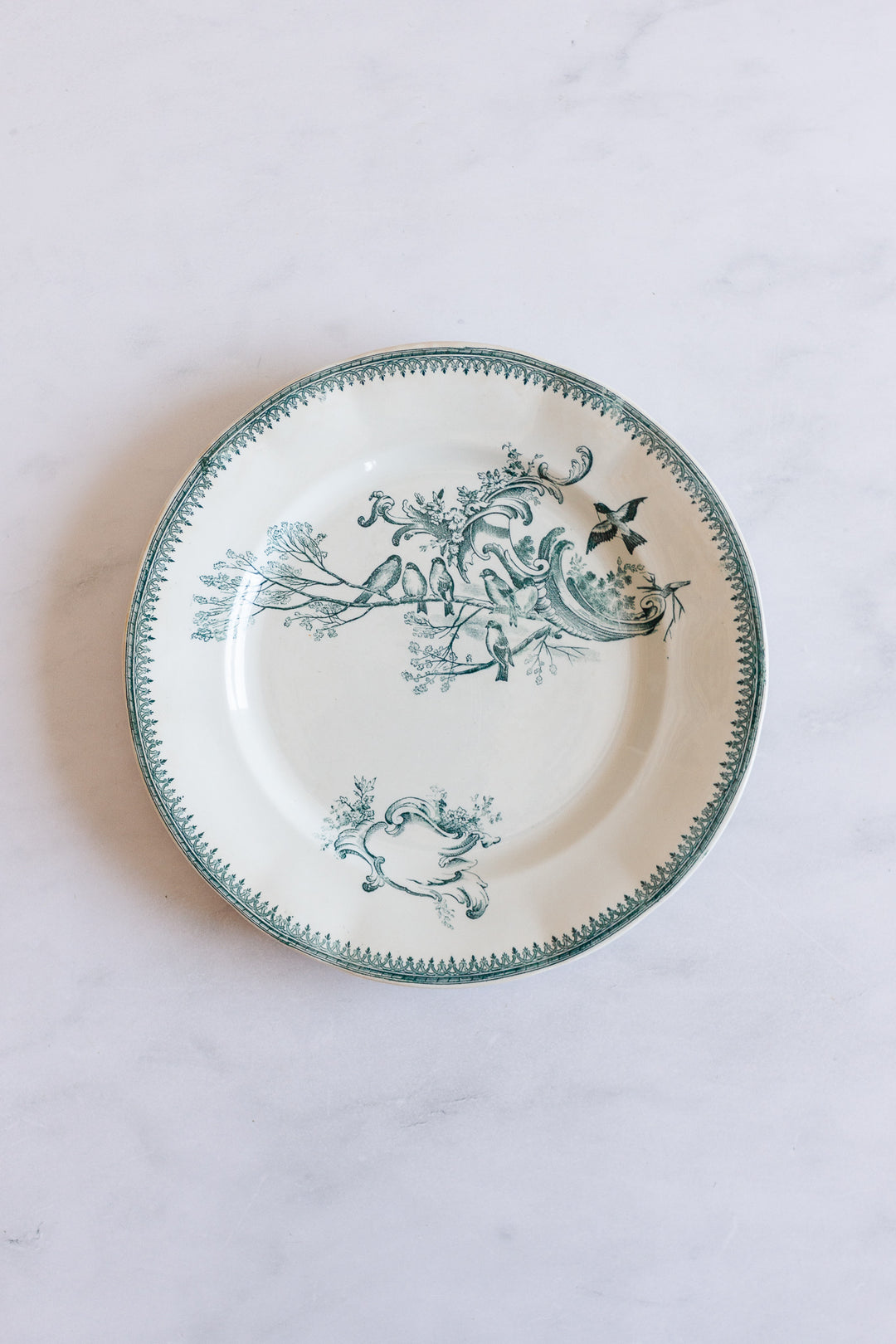 antique French “Rocaille” transferware dinner plates, set of 4