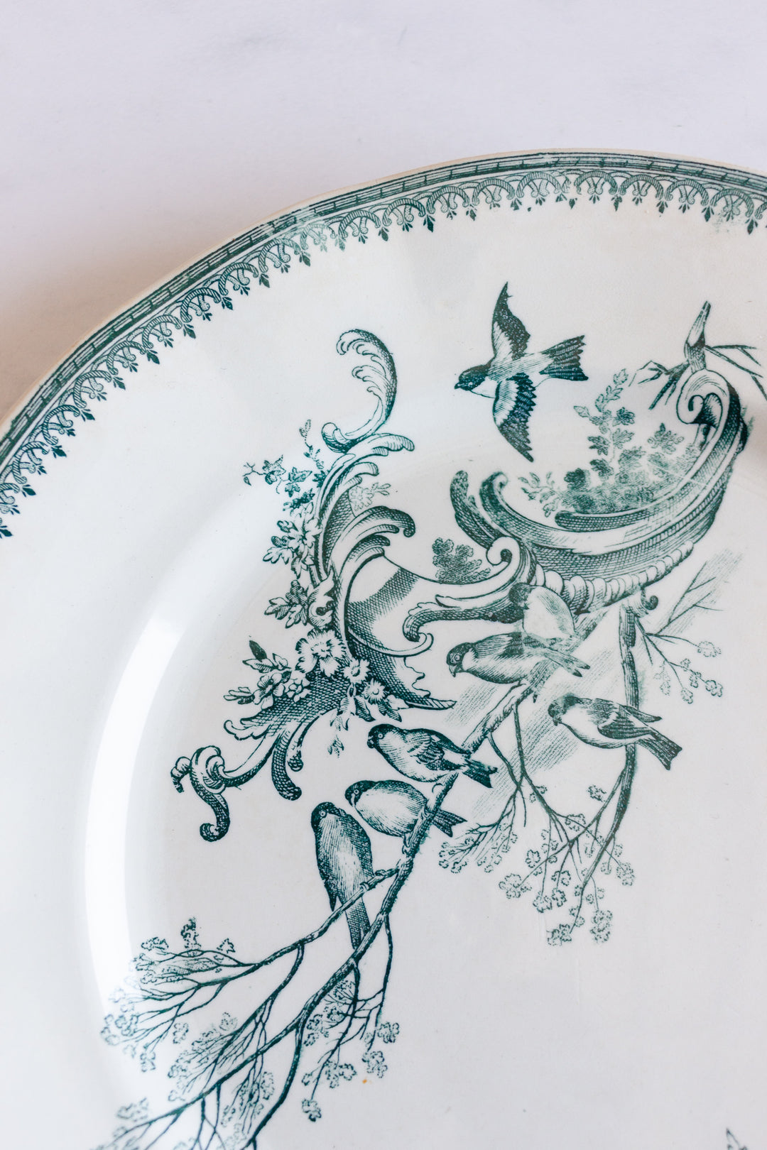 antique French “Rocaille” transferware dinner plates, set of 4