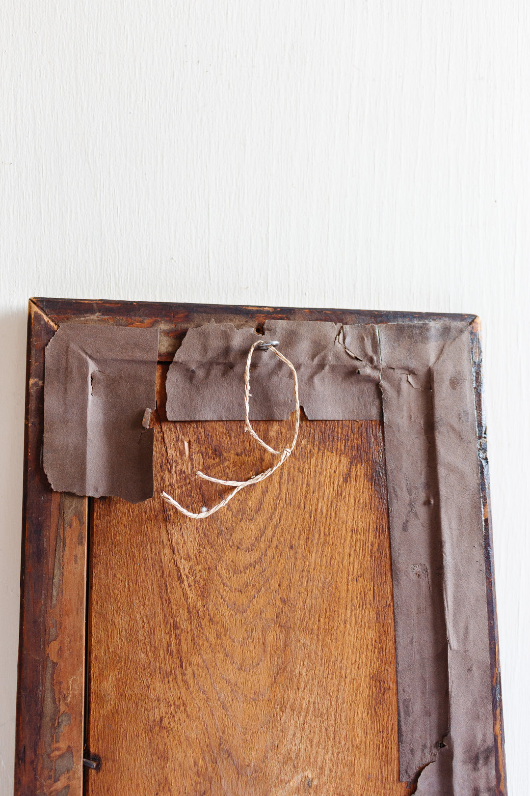 vintage botanical "nuttallia grandiflora"