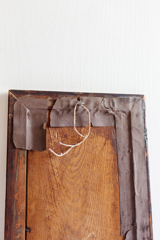 vintage botanical "nuttallia grandiflora"