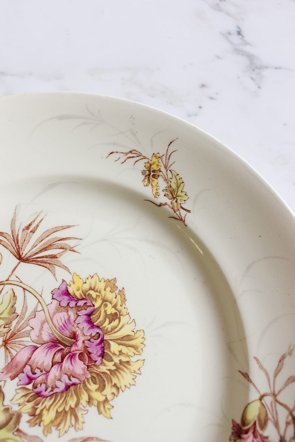 rare 1880s luneville polychrome "pavot" floral plate