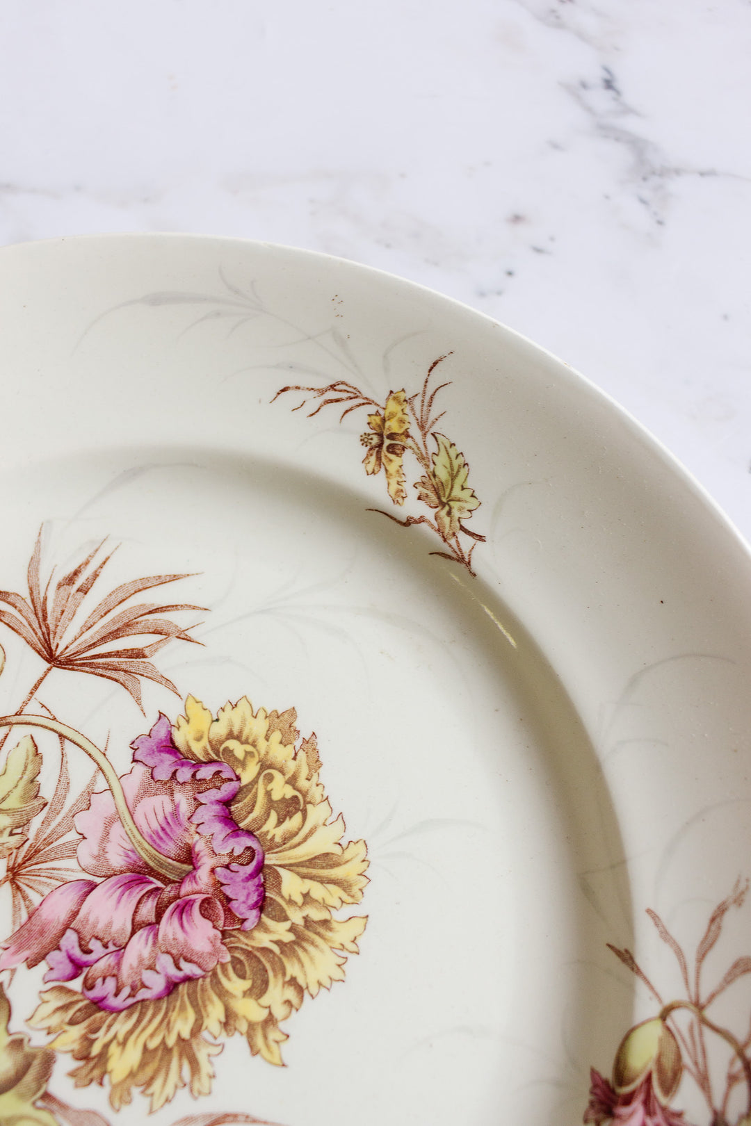 rare 1880s luneville polychrome "pavot" floral plate