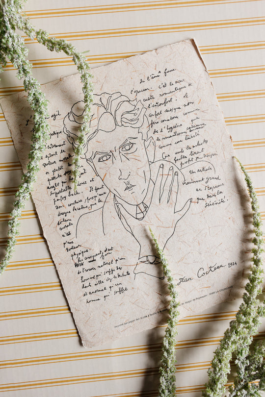 "le mystère de jean l'oiseleur" by jean cocteau 1924