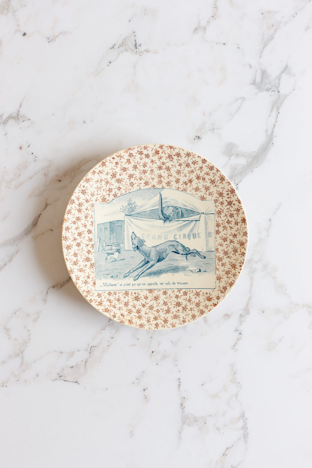 pair of rare 19th century French Sarreguemines ironstone “talking plates”