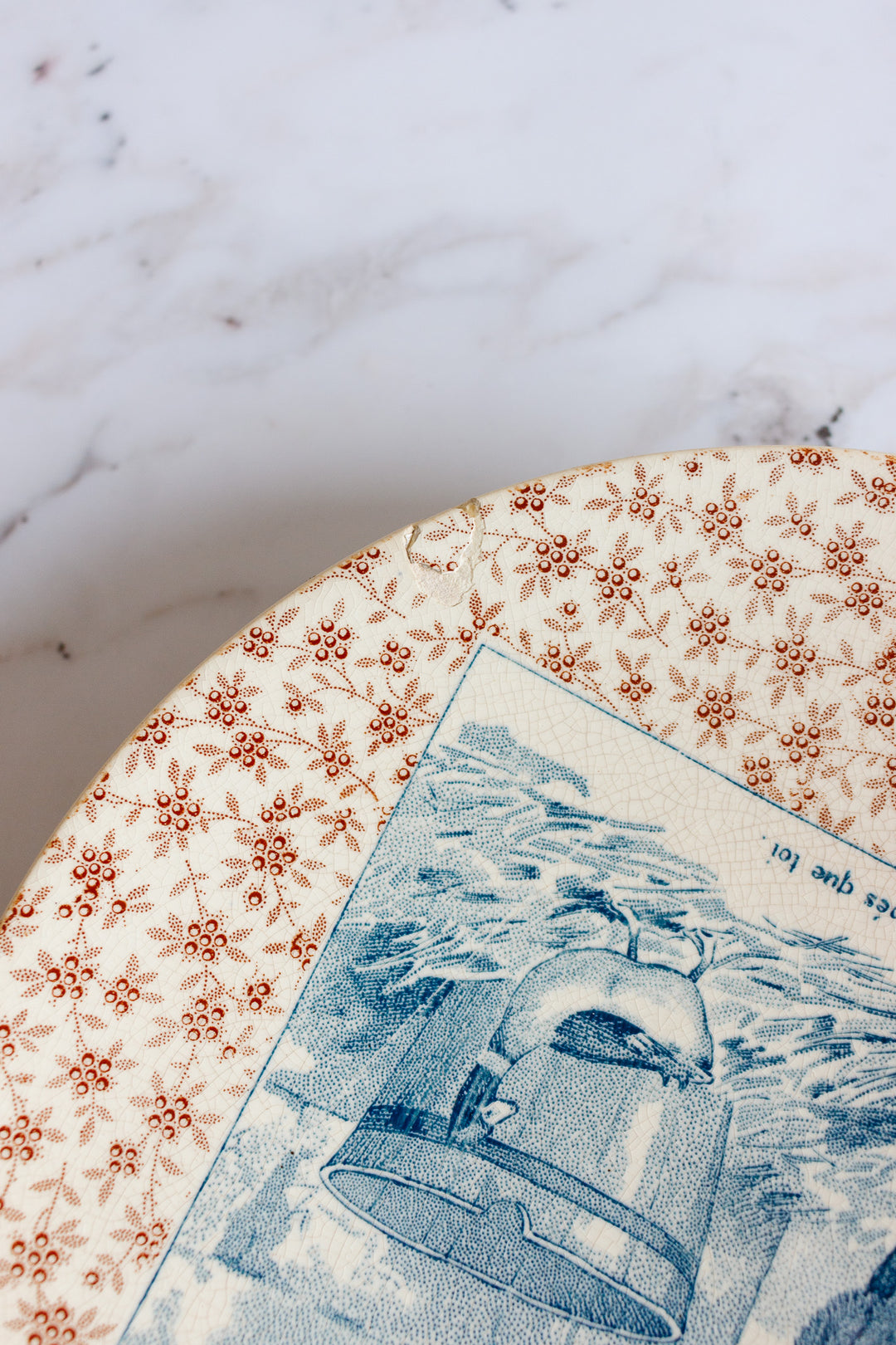 pair of rare 19th century French Sarreguemines ironstone “talking plates”