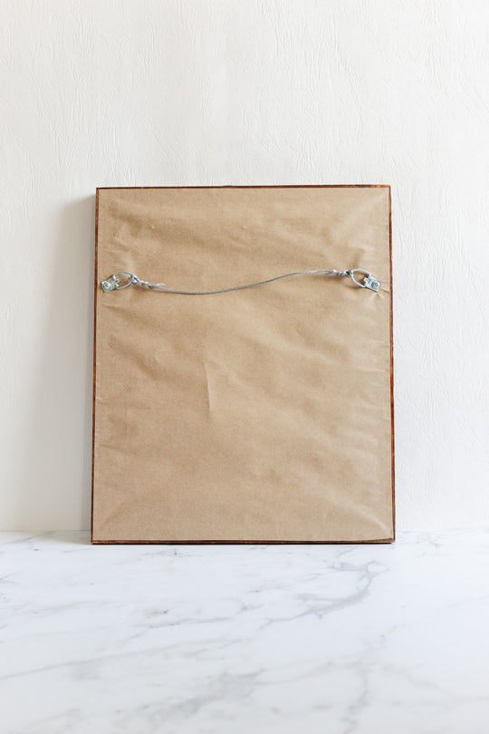 nectarinia gouldle after j. gould