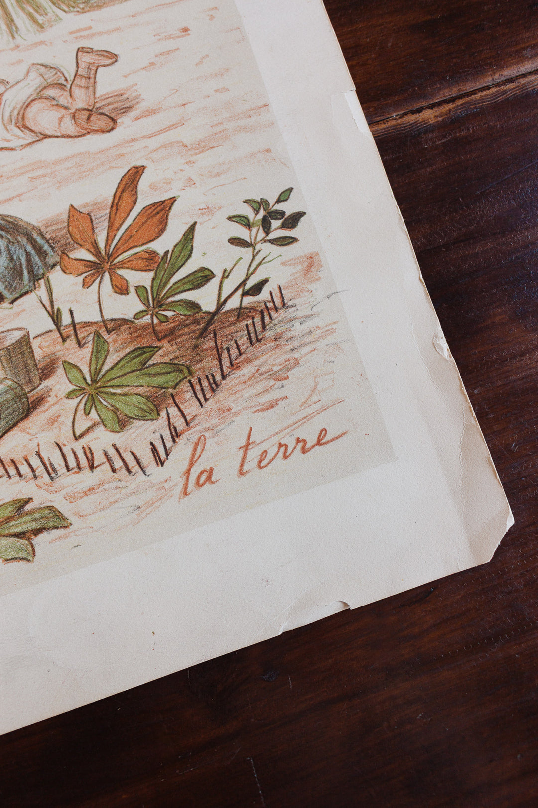 antique french "café de paris" handwritten menu dated 1923