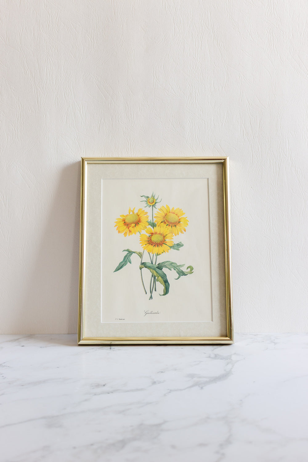 vintage framed floral lithograph by pj redouté