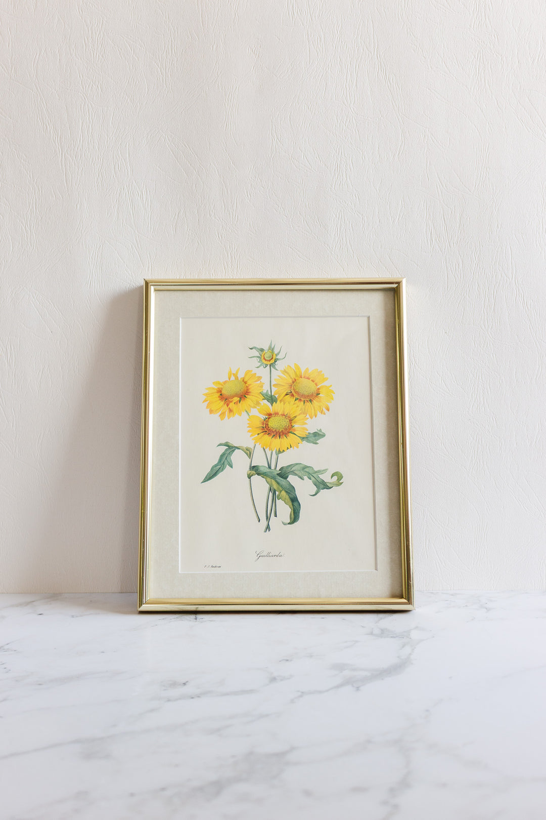 vintage framed floral lithograph by pj redouté